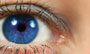Sears Optical Eyecare thumbnail